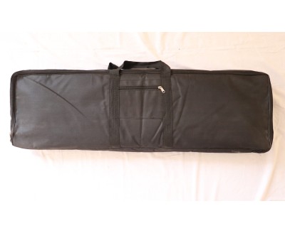 Raga, Tanpura + Swarmandal 2 in 1,