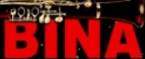 Bina